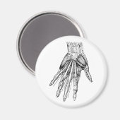 Vintage Zeichnend Handmuskeln Magnet (Vorderseite/Rückseite)