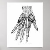 Vintage Zeichnend Handmuskeln Poster (Vorne)