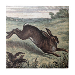 Vintage Zeichnung: Laufender Hase auf einem Feld Fliese