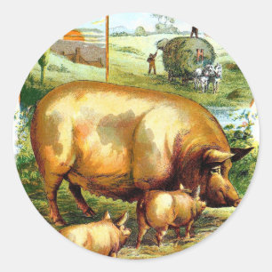 Vintage Zeichnung: Mutter Schwein mit Ferkeln Runder Aufkleber