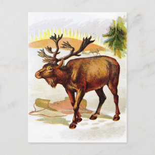 Vintage-Zeichnung: Rentiere im Schnee Postkarte