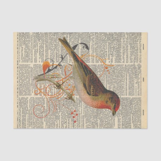 Vintage Zeitung mit Vogeldekoupage Seidenpapier (Vorderseite)