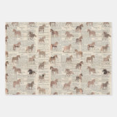 Vintage Zeitungsabteilung Geschenkpapier Set (Vorderseite 2)