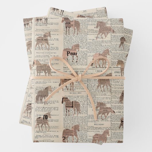 Vintage Zeitungsabteilung Geschenkpapier Set (Beispiel)