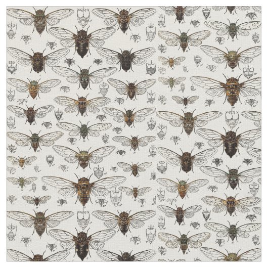 Vintage Zikaden-Illustration Stoff (Nahaufnahme)