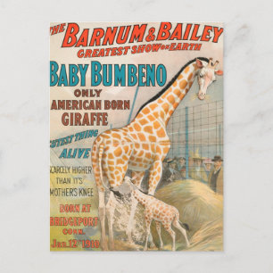 Vintage: Zirkus Barnum & Bailey - Postkarte