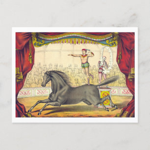 Vintage-Zirkusplakat für Pferde-Act-Postkarte Postkarte