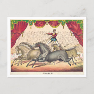 Vintage-Zirkusplakat für Pferde-Act-Postkarte Postkarte