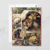 Vintage Zirkusshow mit Löwen und Wildtieren Postkarte (Vorne/Hinten)