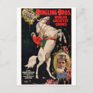 Vintage Zirkustier-Act Werbeplakat Postkarte