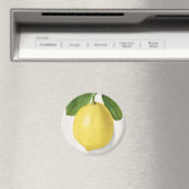 Vintage Zitrone Magnet (In Situ (Geschirrspüler))