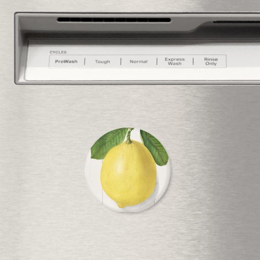 Vintage Zitrone Magnet (In Situ (Geschirrspüler))