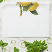 Vintage Zitronen-Illustration Küchentuch (Gefaltet)