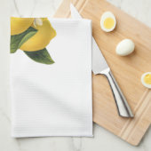 Vintage Zitronen-Illustration Küchentuch (Viertel Falte)