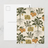 Vintage-Zitronenmuster Postkarte (Vorne/Hinten)
