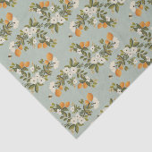 Vintage Zitrusfrucht-botanisches Seidenpapier (Ausschnitt)