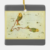Vintage Zodiac-Astrologie Fische Konstellation Keramikornament (Vorderseite)