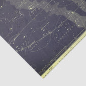 Vintage Zodiac-Himmelskarte Seidenpapier (Ausschnitt)