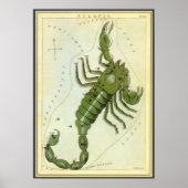 Vintage-Zodiak, Astrologie Skorpion-Sternbild Poster (Vorne)