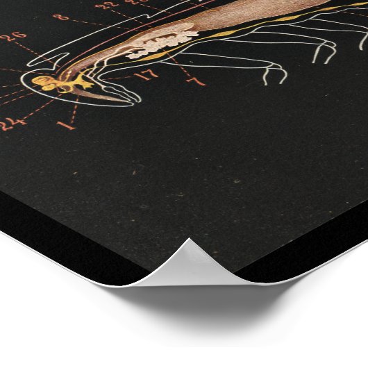 Vintage Zoologie Poster (Ecke)