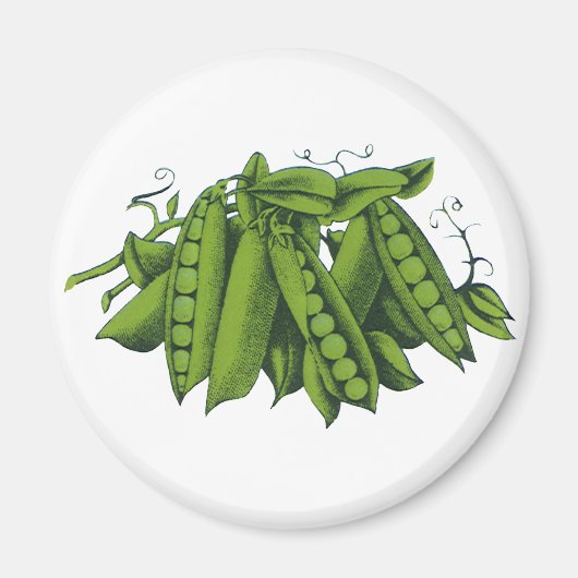 Vintage Zuckererbsen, Lebensmittel, gesunde Gemüse Magnet (Vorne)
