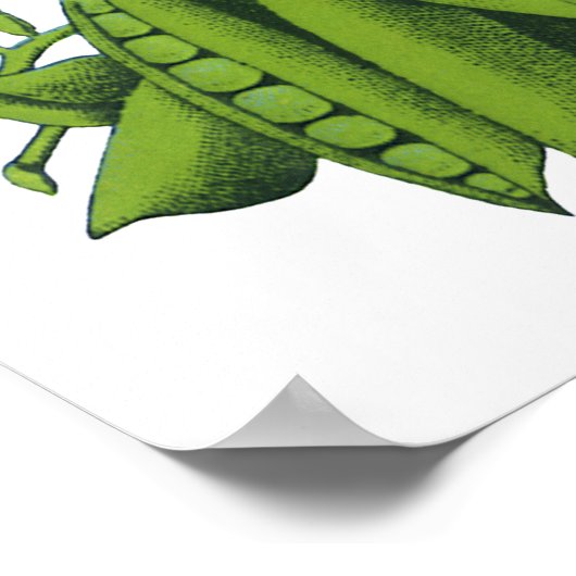 Vintage Zuckererbsen, Lebensmittel, gesunde Gemüse Poster (Ecke)