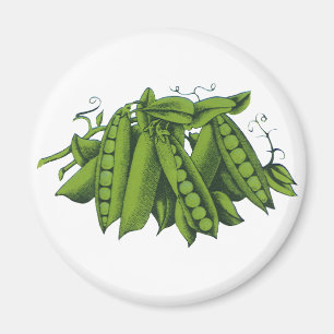 Vintage-Zuckerschoten, Lebensmittel, gesunde Gemüs Magnet