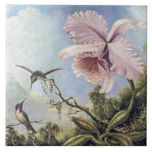 Vintage Zwei Kolibris und rosa Orchideenblüte Fliese