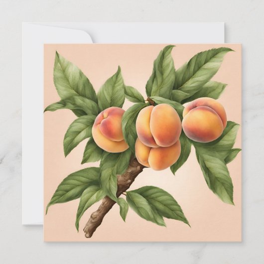 Vintage Zweigstelle mit Peach Fruit Illustration Karte (Vorderseite)