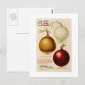Vintage Zwiebeldiagrammkarte Postkarte (Vorne/Hinten)