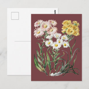 Vintagefarbige Wildblumen-Botanik-Blumenkunst Postkarte