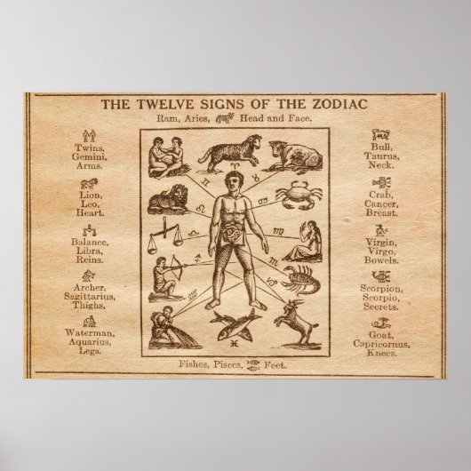 Vintagen 12 Zeichen des Zodiaks Poster (Vorne)