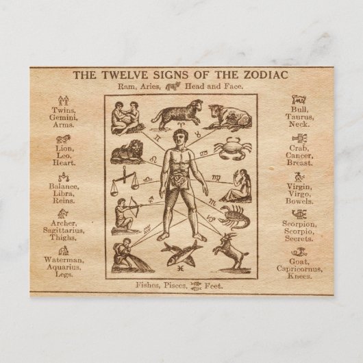Vintagen 12 Zeichen des Zodiaks Postkarte (Vorderseite)