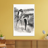 Vintagen 1800er Barn Swallow Martin Bird Swallows Leinwanddruck (Insitu (Wohnzimmer))