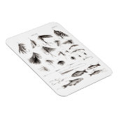 Vintagen 1800er Jahre Angelfischen Lures Lure Hook Magnet (Rechte Seite)