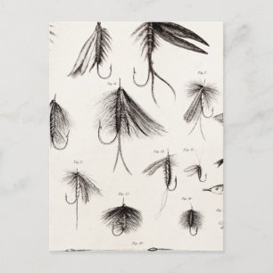 Vintagen 1800er Jahre Angelfliegen alte Haken Postkarte