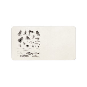 Vintagen 1800er Jahre Angelfliegen lockern Lure Adressaufkleber