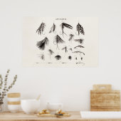 Vintagen 1800er Jahre Angelfliegen lockern Lure Poster (Küche)