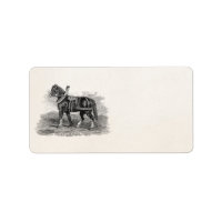 Vintagen 1800er Jahre Pferdezucht