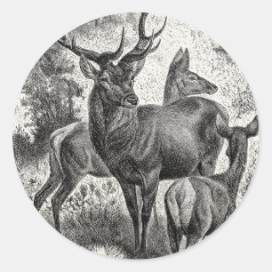 Vintagen 1800er Jahre Red Deer Illustration Stag D Runder Aufkleber