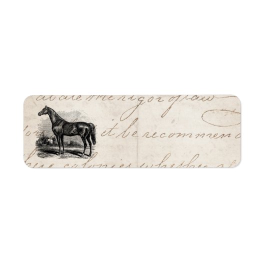 Vintagen 1800er Race Horse Retro Durchdachte Pferd (Vorne)