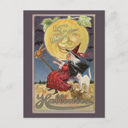 Vintagen Charme des Hexenhundes Halloween Postkarte (Vorderseite)