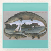 Vintagen Florida Gators Untersetzer. Tampa-Alligat