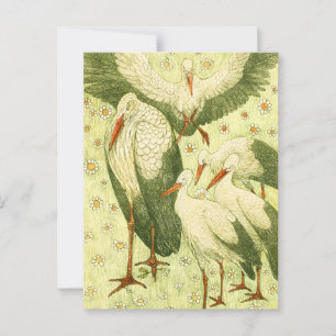 Vintagen fünf Störche auf einer Wiese Postkarte