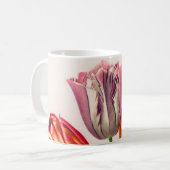 Vintagen illustrierten kaffeetasse (Vorderseite Links)