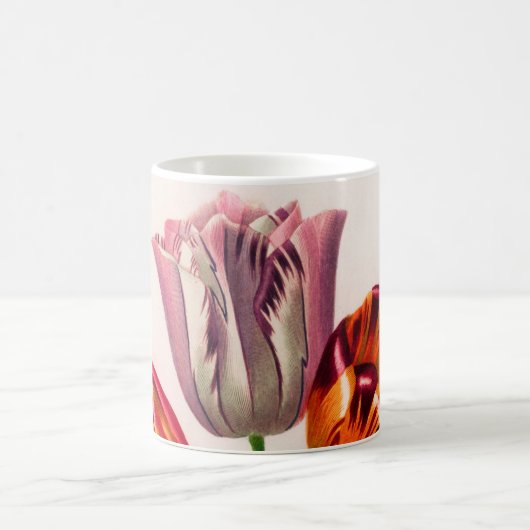 Vintagen illustrierten kaffeetasse (Mittel)