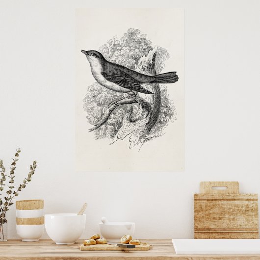 Vintagen Nachtigall Bird Illustration Birds Poster (Küche)