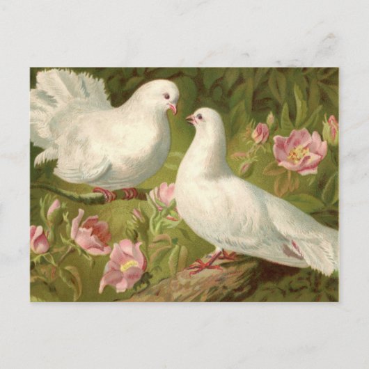 Vintagen Ostertüten und Rosen Postkarte (Vorderseite)