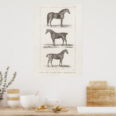 Vintagen Pferderennen der 1800er Jahre sorgen für  Poster (Küche)