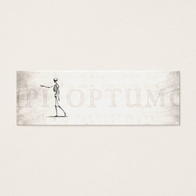 Vintagen Skelett der 1800er Jahre Antikes Anatomie (Vorderseite)